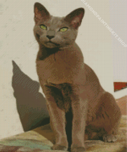 Russian Blue Cat Diamond Painting