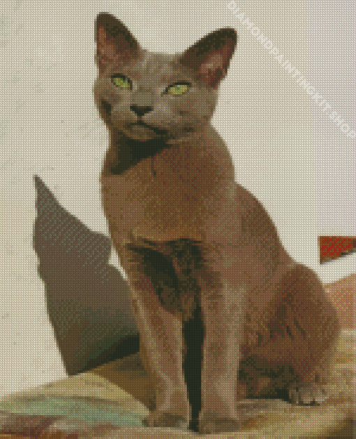 Russian Blue Cat Diamond Painting