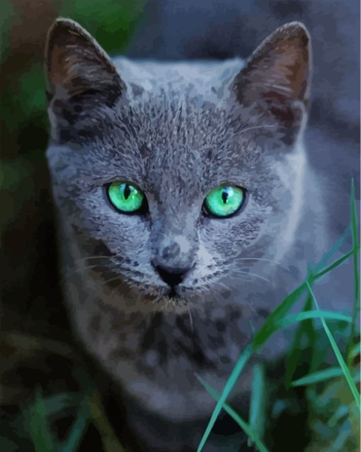 Russian Blue Cat Pet Diamond Painting