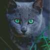 Russian Blue Cat Pet Diamond Painting