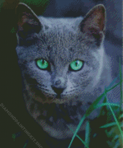 Russian Blue Cat Pet Diamond Painting