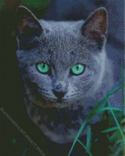 Russian Blue Cat Pet Diamond Painting