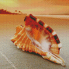 Sand And Seashells Sunset Diamond Painting