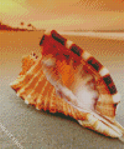 Sand And Seashells Sunset Diamond Painting