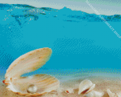 Sand And Seashells Underwater Diamond Painting