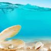 Sand And Seashells Underwater Diamond Painting