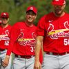 St Louis Cardinals Players Diamond Painting