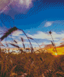 Sunset Harvest Landscape Diamond Painting