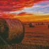 Sunset Harvest View Diamond Painting