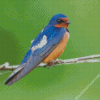 Swallow On Branch Diamond Painting