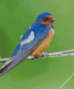 Swallow On Branch Diamond Painting