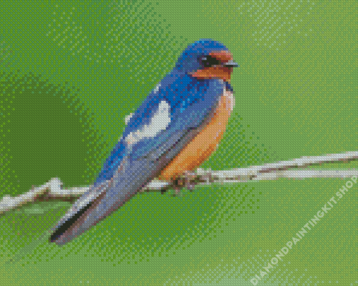 Swallow On Branch Diamond Painting