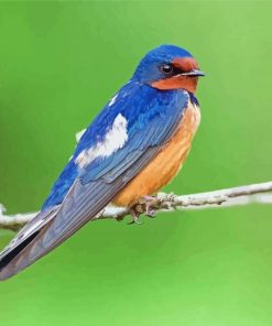 Swallow On Branch Diamond Painting