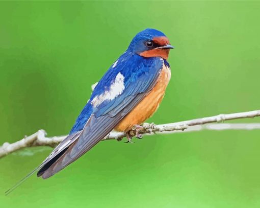 Swallow On Branch Diamond Painting