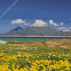 Table Mountain National Park Landscape Diamond Painting