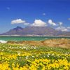 Table Mountain National Park Landscape Diamond Painting