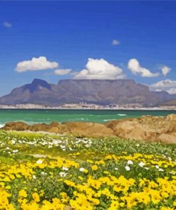 Table Mountain National Park Landscape Diamond Painting