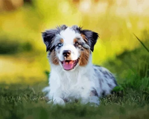 Toy Aussie Dog Diamond Painting