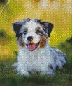 Toy Aussie Dog Diamond Painting