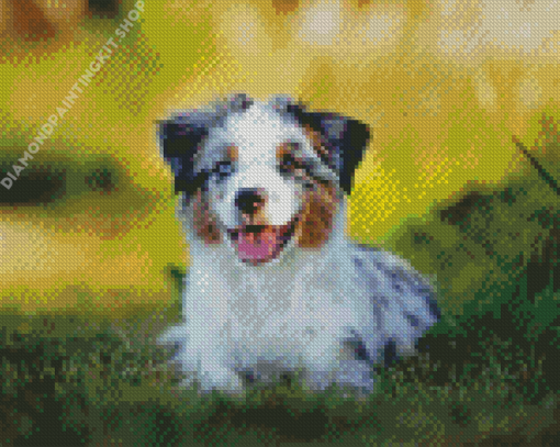 Toy Aussie Dog Diamond Painting