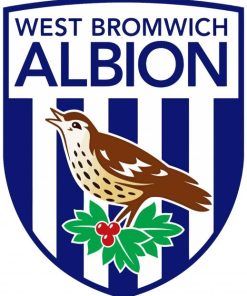 West Bromwich Albion Diamond Painting