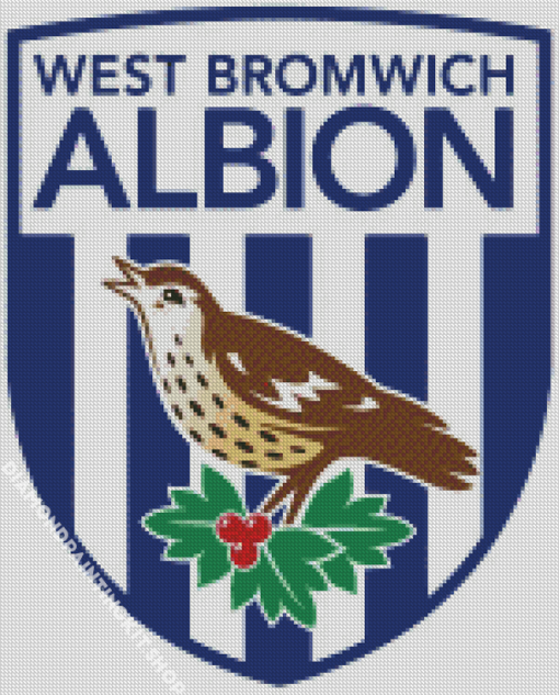 West Bromwich Albion Diamond Painting