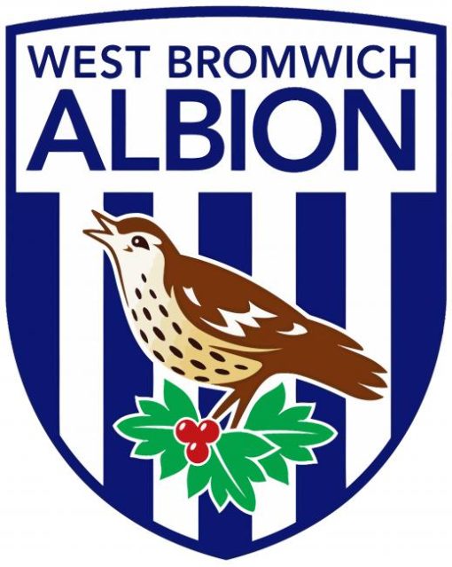 West Bromwich Albion Diamond Painting