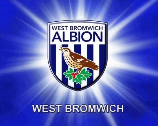 West Bromwich Albion Diamond Painting