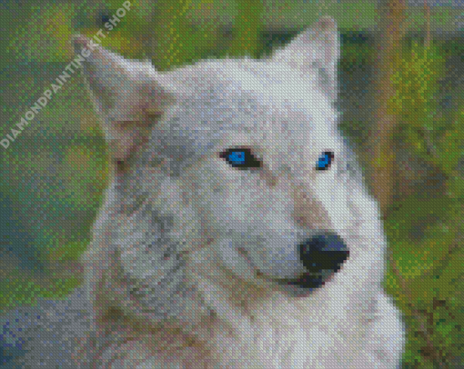 White Wolf With Blue Eyes Diamond Painting