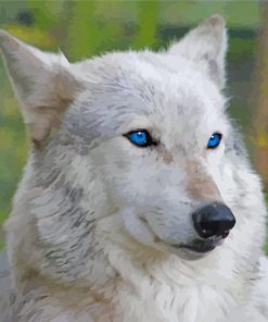 White Wolf With Blue Eyes Diamond Painting