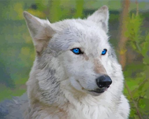 White Wolf With Blue Eyes Diamond Painting