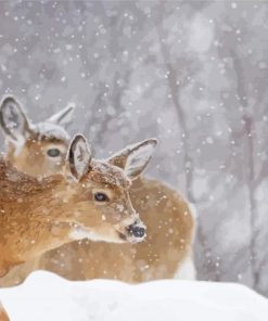 Winter Deers Diamond Painting