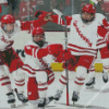 Wisconsin Badgers Hockey Team Diamond Painting