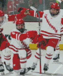 Wisconsin Badgers Hockey Team Diamond Painting