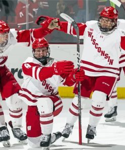 Wisconsin Badgers Hockey Team Diamond Painting