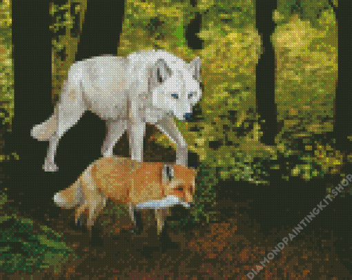 Wolf And Fox Diamond Painting