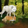 Wolf And Fox Diamond Painting