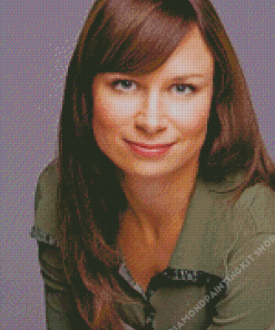 Mary Lynn Rajskub Diamond Painting