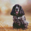 Aesthetic Black Cocker Spaniel Diamond Painting