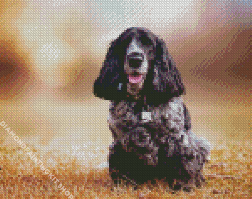 Aesthetic Black Cocker Spaniel Diamond Painting