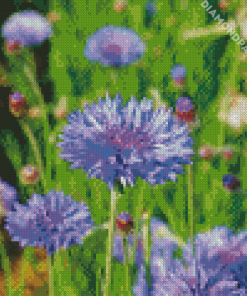 Aesthetic Corn Flower Diamond Painting