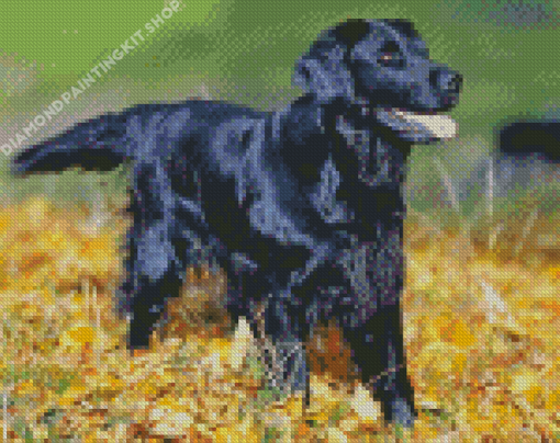 Aesthetic Flat Coated Retriever Diamond Painting