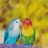 Aesthetic Lovebirds Diamond Painting