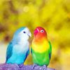 Aesthetic Lovebirds Diamond Painting