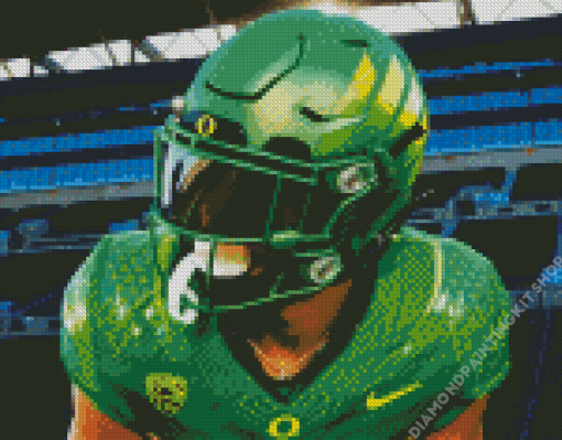 Oregon Duck Diamond Painting