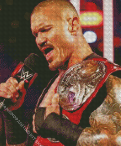 Aesthetic Randy Orton Diamond Painting