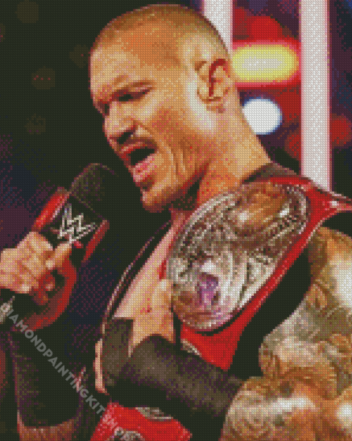 Aesthetic Randy Orton Diamond Painting