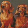 Aesthetic Red Dachshund Diamond Painting