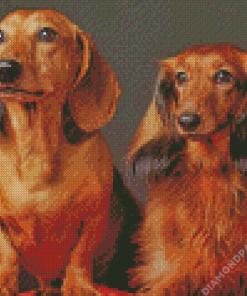 Aesthetic Red Dachshund Diamond Painting