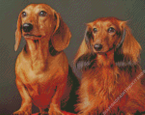 Aesthetic Red Dachshund Diamond Painting